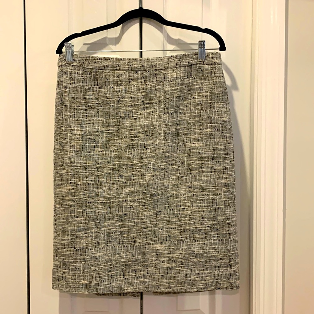 J. Crew Skirt